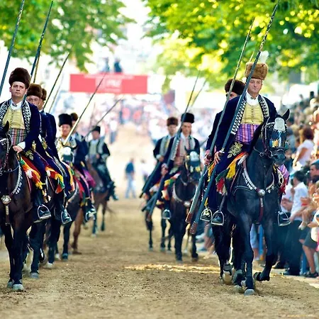 Dola Near Split - Private Pool, Orchard, Peace