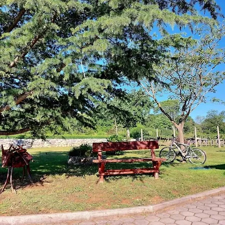 Dola Near Split - Private Pool, Orchard, Peace *