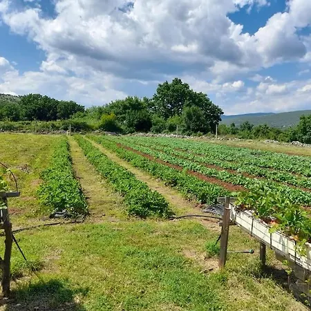 Villa Dola Near Split - Private Pool, Orchard, Peace