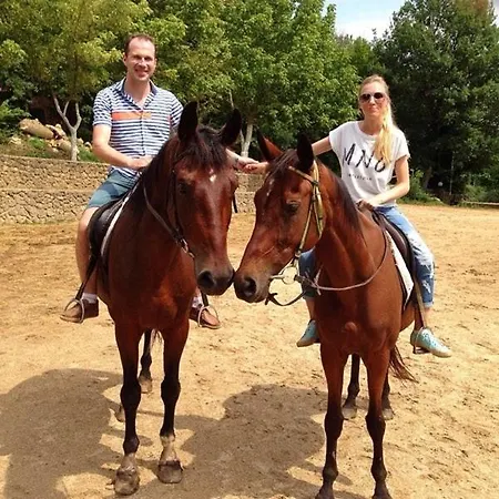 Dola Near Split - Private Pool, Orchard, Peace * Dicmo