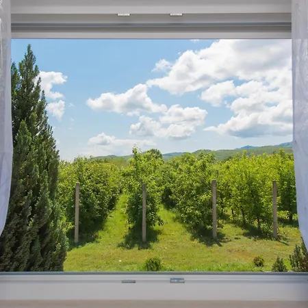 Dola Near Split - Private Pool, Orchard, Peace *